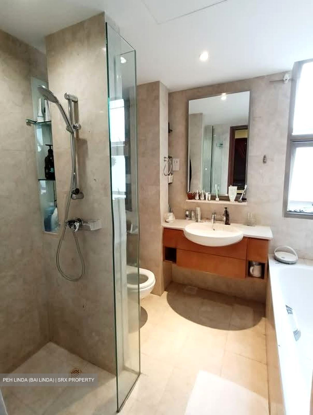 Palm Grove Condominium (D19), Condominium #594776161